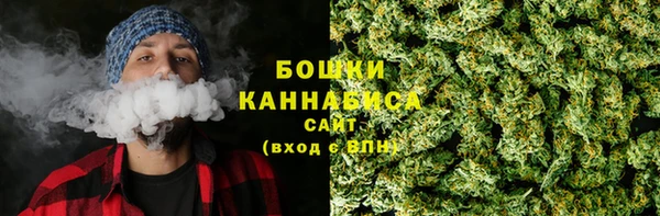 PSILOCYBIN Алексеевка