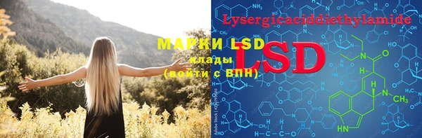 PSILOCYBIN Алексеевка